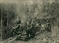 Chemin de portage aménagé en 1925-26. Photo agence économique de l’AEF. – L’exploitation des richesses du Cameroun nécessite une abondante main d’œuvre. Faute de routes et de voies navigables en nombre suffisant, le transport par portage des matières premières –caoutchouc de la forêt notamment- vers la côte, et des marchandises d’importation en retour, mobilise beaucoup de bras. Moyen de transport traditionnel, le portage a explosé avec la mise en valeur des ressources par les colonisateurs successifs. Mais ce développement ne va pas sans inconvénients. Sur le plan économique, il entraine une concurrence entre production et transport, puisque les sociétés commerciales, qui assurent cette seconde tâche, emploient bien plus de travailleurs que les plantations. Dans la région de Mungo, par exemple, il y avait au début du XXème siècle 10 à 20 fois plus de porteurs que de manœuvres dans les exploitations forestières, au détriment des capacités de production. Sur le plan sanitaire, les déplacements incessants engendrés par le portage contribuent à diffuser les maladies, et particulièrement la maladie du sommeil, qui va provoquer une effroyable hécatombe en Afrique centrale puis en Afrique de l’Ouest. D’un point de vue politique, l’accroissement du portage  n’est pas non plus sans conséquences. Il nécessite d’importer des populations des régions les plus peuplées de l’intérieur vers les zones moins denses de la côte et entraine également des troubles lorsque les porteurs pillent les villages pour palier à l’insuffisance du ravitaillement prévu sur leur parcours. Sources : Champaud, J., Villes et campagnes du Cameroun de l'ouest, Paris, éditions de l’ORSTOM, 1983.