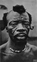 Portrait d'un homme de la forêt