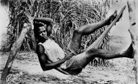 La sieste - Carte postale de la collection Printania
