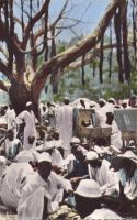 Marché de Maroua
