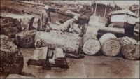 Bois de la Côte d’Ivoire à Grand Bassam. – « On parlait aujourd’hui des bois de la Côte d’Ivoire et l’on déplorait que les ébénistes français se servissent si peu des produits de nos colonies. Je citai Sue et Mare me disant que, quand ils avaient acheté en France une certaine qualité de bois exotiques, ils n’étaient jamais sûrs de retrouver ensuite la même, tant nos marchands en gros achètent à tort et à travers, au hasard des marchés. […] La baisse du franc du franc a mis nos acajous à des pris si peu élevés que plusieurs maisons américaines se sont installées à Grand-Bassam. Elles envoient nos bois précieux aux Etats-Unis d’où ils nous reviennent en France sous le nom d’acajou d’Amérique ». Source : Morand, Paul, A.O.F. de Paris à Tombouctou, Paris, Flammarion, 1928.
