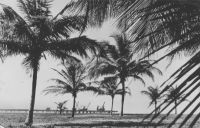 Abidjan, le wharf de Bassam