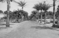 Abidjan, l'avenue de la Résidence