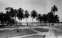 La Lagune à Grand Lahou – La ville de Grand Lahou est reliée hebdomadairement à Abidjan par un service fluvial lagunaire (Guid’AOF, édition 1948).