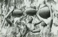Giirls of the forest