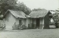 Primitive cottage natives