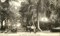 Conakry, promenade de la Corniche. – « La ville donne l’impression au visiteur de quelque cité du district des lacs d’Angleterre, plutôt que celle d’une escale de la côte d’Afrique. La vue de la ville et des îles voisines est merveilleuse de beauté tropicale. Conakry est tracée selon le plan habituel des villes coloniales françaises : rues à angles droits, squares et jardins bien dessinés. Un boulevard extérieur, macadamisé, bordé de palmiers, l’encercle. Je crois que la raison poussant les Français à bâtir leurs villes tropicales de façon si pratique s’explique par leur désir de s’y sentir « at home ». La demeure qu’ils s’y aménagent leur servira pendant des années de résidence fixe. » Sources : écrits d’un « voyageur anglais » qui a vécu à Lagos, Onitsha, Accra et Sekondi paru dans le Bulletin d’information du gouvernement général de l’Afrique occidentale française, cité dans Ricord, M., France noire, Marseille, Sud-éditions, 1939.
