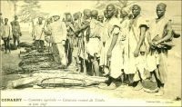Conakry, concours agricole, caravane venant de Timbo et leur chef. – Dès le début du XXème siècle, l’administration coloniale française s’emploie à développer l’agriculture en Guinée. Pour ce faire, elle créé un droit foncier en 1901 et lance des actions incitatives en direction des notables africains. Les foires agricoles constituent le meilleur moyen pour promouvoir et vulgariser  les techniques, tandis que les concours permettent de récompenser les producteurs méritants. Le premier concours agricole de Conakry a lieu en 1901. Lors du second, en 1902, l’administrateur Noirot, directeur des affaires indigènes, exhorte les producteurs africains à redoubler d’efforts : « Aujourd’hui, le gouverneur réserve sa plus grande considération, non pas aux chefs indigènes qui ont eu une représentation de bravoures dans les combats, mais bien aux chefs qui aideront au plus grand développement des cultures dans leur pays, parce que ceux-là seuls travaillent au bonheur de leur peuple ». Les chefs de canton, à qui s’adresse directement  ce discours, participaient activement aux concours agricoles. Ainsi, le chef de Timbi-Madina vient accompagné d’une suite de deux cents personnes, et celui de Labé est à la tête d’une délégation de plus de mille deux cents personnes. – A lire sur le sujet : Diop, Mustapha, Réformes foncières et gestion des ressources naturelles en Guinée: enjeux de patrimonialité et de propriété dans le Timbi au Fouta Djalon, Paris, Karthala, 2007.