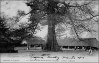 Kouroussa, la place du marché. – « Village guinéen à la tombée du jour. Grandeur, majesté antique de l’Afrique. […] Au centre, un fromager géant unit le ciel à la terre. Un autre arbre abattu, couché, est gros comme un éléphant. Les cases, séparées par des nattes de deux mètres de haut, dessinent des rues pleines de chicanes et de tortis » (1). Kouroussa est le point amont extrême de navigation sur le fleuve Niger. La navigation fluviale sur ce tronçon, mais aussi sur son affluent le Milo qui est navigable jusqu’à Kankan, permit des siècles durant la diffusion des produits de Haute Guinée vers le bassin du Moyen-Niger. A partir de 1913, la ligne  de chemin de fer Conakry-Niger reliant la capitale de la colonie à Kankan en passant par Kouroussa, contribue au désenclavement de la région, mais aussi du Soudan français. En 1924,  l’ouverture du tronçon ferroviaire entre Dakar et Kayes, rejoignant la ligne qui allait du fleuve Sénégal au fleuve Niger, et permettant de joindre Bamako à l’océan sans rupture de charge, devait partiellement disqualifier le rôle sous-régional de Kouroussa et Kankan. Source : Morand, Paul, A.O.F. de Paris à Tombouctou, Paris, Flammarion, 1928.