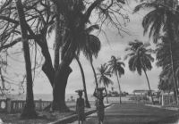 Conakry, un coin de la corniche et du port