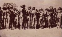 Chez les Lobis, groupe de femmes. – « Les femmes [des tribus Lobis rencontrées par l’auteur les jours de marché à Gaoua] n’ont pour tout costume que la ceinture de ficelles, en brin de « bemwos », dont les extrémités leur pendent jusqu’aux genoux. Les femmes mariées portent, en outre, comme chez les Bobos, deux bouquets de feuilles, qu’elles s’appliquent avec beaucoup de pudeur lorsqu’elles se baissent. La plupart ont les lèvres déformées par l’affreux labret de quartz, de fer, d’os ou de bois, et des scarifications en étoile leur ornent le nombril. Leurs traits sont en général assez fins et l’habitude, commune à toutes les femmes noires, de porter les fardeaux sur la tête donne à leur démarche et à leur port l’élégance et la noblesse que l’on remarque, pour la même raison, chez nos Arlésiennes » (1). Carte postale signée « Cliché Mission d’Art Colonial ». Source : Soubrier, Jacques, Savanes et Forêts, Paris, J. Susse, 1944.