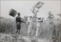 Chasseurs et indigène à Fort-Archambault en 1937. – La savane giboyeuse du sud du Tchad est très propice à la chasse. C’est d’ailleurs une activité particulièrement prisée des coloniaux, à la fois pour se fournir en viande, et le cas échéant en ivoire et en trophées, mais aussi comme loisir. Les plus fines gâchettes locales s’affrontent même à l’occasion de concours de tir, organisés lors des fêtes de la colonie, notamment au 14 juillet. La réputation de la région dépasse progressivement ses frontières et le tourisme cynégétique se développe dès la fin des années 1930, attirant des amateurs de gros gibier venus d’Europe. En 1947, l’activité est promue à Fort-Archambault avec la construction d’un établissement destiné à accueillir ces visiteurs, l’Hôtel des chasses. Dès cette époque, la grande chasse a aussi ses adversaires, et le roman « Les racines du ciel » de Romain Gary, paru en 1956, met en scène un farouche opposant à la traque systématique des éléphants de la région. En fait, la chasse sportive va se maintenir jusqu’au milieu des années 1970, avant de régresser en raison de l’instabilité de la situation politico-militaire tchadienne mais aussi du déclin inexorable des stocks de gibier.