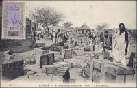 Zinder, arrivée d'un convoi de vivres à l'intendance. – « Le convoi [de ravitaillement en 1900] se compose filialement de 200 porteurs*, 50 chameaux, 90 bœufs porteurs et 120 ânes. Une ou deux sections de tirailleurs sont affectées à chaque convoi différent, avec un peloton en réserve. [...]  Les bourricots marchent avec une lenteur désespérante, à 3 kilomètre à l’heure ! Les bœufs vont plus vite ; les chameaux encore plus. Le convoi s’allonge et les bons petits bourricots aux longues oreilles, le dos flanqué de deux caisses de vin, s’en vont à petits pas, d’un itinéraire capricieux, sortant à chaque instant du sentier pour brouter à droite et à gauche. […] * les noirs portent aisément sur le tête une charge de 25 kilos (poids limitatif de la cantine de bagage comme de le caisse de ravitaillement), les bœufs à bosse du pays portent 100 kilos ; les chameaux, 120, les ânes, 60 ». Source : Gouraud, Général, Zinder, Tchad - Souvenirs d'un Africain, Paris, Plon, 1944.
