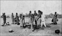 Autour d’un puits à Filinguè. 3ème territoire militaire du Soudan. – « La vague piste qui relie Filingué à Tahoua traverse une région plate et sablonneuse, dont la monotonie n’est rompue de loin en loin que par quelques arbres épineux et des affleurements ferrugineux ou argileux. Après les pluies, il s’y forme des mares peu profondes, qui par suite de leur large surface d’évaporation, sont vite asséchées. En quelques rares points comme Lahan, la nappe argileuse et imperméable a formé des cuvettes remplies de sable, où l’eau des pluies s’accumule. Mais il faut aller la chercher en creusant des puits à travers le sable. Naturellement la quantité d’eau recueillie par ces cuvettes et par conséquent le temps pendant lequel ces petits puits fournissent de l’eau, dépendent de la quantité d’eau de pluie tombée. […] Le capitaine Cornu part un jour de Filingué avec 45 tirailleurs et un convoi léger. Trompé par des renseignements indigènes, le petit détachement s’égare de erre dans la brousse pendant deux jours. Enfin Cornu retrouve la direction. Mais il ne lui reste que trente litres d’eau et il est encore à 20 kilomètres de Lahan. Cinq tirailleurs sont déjà morts de soir. Un autre et le guide devenus fous se sont jetés, le couteau à la main, sur la dernière peau de bouc. Faisant appel à l’énergie des meilleurs, Cornu se lance en avant. Après quatre heurs d’une marche atroce, il arrive enfin à la mare et trouve non pas de l’eau, mais du sable humide qu’il presse et dont il tire 50 litres d’eau en deux heures. Il les envoie aux malheureux dispersés sur sa route, ce  qui lui permet de les ramener un à un. En un  autre point 9 hommes sont ports au fond d’un puits par des émanations d’acide carbonique. » Source : Gouraud, Général, Zinder, Tchad - Souvenirs d'un Africain, Paris, Plon, 1944.