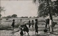 Niamey, une corvée d’eau. - Le Général Gouraud raconte ainsi le fondation de la ville de Niamey, au sens militaire et administratif du terme, en septembre 1901 : « La situation du poste de Sorbo, non loin des berges du fleuve, ne présentait aucun avantage : l’artère commerciale dont on nous avait parlé n’existait pas. A peu de distance, Niamey, petit village à proximité d’un gros marché, de site salubre me parait favorable, d’autant mieux que là se trouve la tête de notre ligne d’étapes fluviales (Niamey est aujourd’hui le chef-lieu de la colonie). Ce sera la résidence du commandant de cercle, de son adjoint, du chef des services administratifs, qui aura sous sa surveillance immédiate le magasin de réserve de ravitaillement qu’y déposera la flottille du Bas-Niger. […] Le commandant de cercle aura sous son autorité les populations situées entre le Niger et le Dallol Bosso ». Source : Gouraud, Gal, Zinder Tchad, Paris, Plon, 1944.