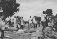 Niamey, le marché aux arachides