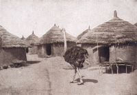 Le village de Huburcher, Niger