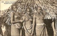 Peulhes du Cayor. – Eleveurs nomades, les Peuhls sont présents dans presque tout le Sénégal où ils représentent, quand les autorités coloniales s’avisent de recenser les ethnies, le troisième groupe par le nombre. En pays wolof, comme dans le Cayor, ils s’emploient alors en tant que gardiens de troupeaux. « La réputation de beauté des femmes peul est souvent justifiée. Elles se noircissent les yeux et se teignent au henné les ongles et les paumes. L’habitude ancienne était de leur tatouer les lèvres en bleu » (1). « Oppa, jeune Toucouleur, passe pour être jolie. Ses traits représentent fidèlement les caractères de sa race formée d’un croisement de Peulhs et de Bamabaras. […] elle doit aux premiers, Berbères de l’antique Egypte, l’ovale de son visage, ses lèvres relativement minces, son nez à tendances aquilines, ses attaches assez fines » (2). - Cette carte postale fait partie du travail du célèbre photographe et éditeur dakarois Edmond Fortier (1862-1928) à qui l’on doit une somme importante de clichés sur l’Afrique de l’Ouest en général et sur le Sénégal en particulier ; il a publié en tout 3300 clichés originaux. M. Fortier tenait boutique et vivait avec ses deux filles blondes et son boy Seydou Traoré, à l’angle de la rue Dagorne et du boulevard Pinet-Laprade, tout près du marché Kermel.  Sources : (1) Deschamps, H., Le Sénégal et la Gambie, Paris, PUF, 1964. (2) Baratier, Col., A travers l’Afrique, Paris, Arthème Fayard, 1908.