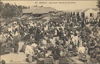 Saint-Louis, marché de Guet N’Dar. – « Enfin, quatorze jours après notre départ de Cadix, la Sarah abordait la côte sénégalaise et, après avoir contourné la pointe de Barbarie, dépassé l’île aux Gazelles, jetait l’ancre devant Guett N’Dar, à deux milles environ de Saint-Louis, capitale des établissements français, dont nous étions séparés que par une langue de sable au-delà de laquelle coulait le fleuve Sénégal parallèlement à la mer. […] Le troisième jour de notre arrivée, nous fîmes une excursion aux étangs salins de Gandioles situés près de l’embouchure même du Sénégal. […] Nous assistâmes aussi à une pêche faite à notre intention par les gens de Guett N’Dar, qui approvisionne le marché de Saint-Louis, qui se tient dans leur village ». (1) « Les diguenns, il a fallut les laisser là bas, à Saint-Louis, dans le faubourg de Guet N’Dar ; et ici pas moyen de les remplacer ; les sauvages des lagunes, ces Kroomen musclés et découplés, gardent les leurs jalousement ; et les femelles Bakoué ou Neyo, qui viennent de la forêt apporter la gomme et la poudre d’or sont tellement frustres, tellement sales et peu appétissantes avec leur grande cicatrice frontales, leurs dents aiguisées en pointe et les lobes outrageusement distendus de leurs oreilles, qu’un fils de Sénégal ne peut décemment, y consentirait-elle, mener dans son case une de ces ménagères là ; alors, il faut se passer d’amour, habiter le gourbi commun, et vaquer soi-même aux basses besognes ; Ô déchéance ! » (2). Il est à noter que l’orthographe du nom de ce quartier de Saint-Louis varie encore entre la fin du XIX ème, quand Jacolliot décrit son escale, et le début du XX ème siècle, lorsque Fortier légende sa photo et, plus tard, que D’Alem fait parler des tirailleurs dans son roman. Sources : (1) Jacolliot, Louis, Voyage aux rives du Niger, Paris, C. Marpon et E. Flammarion, 1879. (2) D’Alem, Gilbert, Madame Samory – roman soudanais, Paris, Plon, 1924.