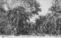 Environs de Dakar, village indigène