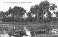 Dakar - Oasis de Hann