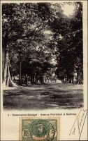 Casamance, avenue Forichon à Sedhiou - postée le 19.11.1906 - Forichon est capitaine français, tué à Sédhiou 21 mai 1891 par la résistance à l'autorité coloniale en Casamance.