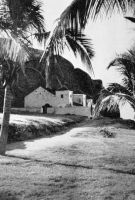 Gorée, la moquée vers 1955