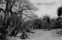 Dakar, jardin de Hann