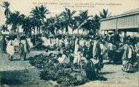 Saint Louis, le Marché des plantes médicinales en usage chez les noirs