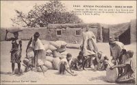 Boucle du Niger. Comptage des Kauris dans un poste. Les Kauris sont de petits coquillages servant de monnaie au Soudan (valeur moyenne, 1 franc le mille). – Le Soudan est, avec le Dahomey, le dernier territoire où le colonisateur français autorisa le paiement des impôts en coquillages, jusqu’en 1907. La parité qui avait longtemps fluctué dans les colonies françaises autour de 1000 coquillages pour 1 franc, s’établissait alors à 20 000 cauris pour 7 francs. Par la suite, les lois devaient interdire l’emploi monétaire des coquillages. Ils restèrent néanmoins tardivement utilisés pour des transactions locales informelles. Ainsi on estimait à 70 000 cauris la dot due à la famille d’une épouse, au Niger à la fin des années 1940. Les Kauris ou cauris auraient été introduits en Afrique noire entre le IXème et Xème siècle par le biais du commerce arabe transsaharien. Ces coquillages des mers chaudes étaient utilisés comme monnaie dans les îles du continent indien depuis 3000 ans avant JC. Les échanges avec les navigateurs portugais et espagnols, et notamment  la traite négrière, ont contribué à les diffuser largement sur le continent noir.  Dans la seule décennie qui va de 1850 à 1860, 35 000 tonnes de cauris auraient été importées en Afrique pour acquérir de l’huile de palme et des esclaves. Les types de coquillage et leur parité marchande varièrent selon les régions et les époques. Outre les cauris (Cypraea annulus, Cypraea moneta, Cypraea caurica, Cypraea onyx, Cypraea argus et Cypraea eglantina), les marginelles (Marginella persicula et Marginella cingulata) eurent cours au Soudan et les olives (Olivella nana) au Congo. - Cette carte postale fait partie du travail du célèbre photographe et éditeur dakarois Edmond Fortier (1862-1928), à qui l’on doit une somme importante de clichés sur l’Afrique de l’Ouest en général ; il a publié en tout 3300 clichés originaux. M. Fortier tenait boutique et vivait avec ses deux filles blondes et son boy Seydou Traoré, à l’angle de la rue Dagorne et du boulevard Pinet-Laprade, juste à proximité du marché Kermel de Dakar.