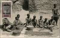 Préparation du beurre de karité, triage des noix – « Les femmes étaient accroupies devant les petits tas de choses qu’elles avaient à vendre : trois morceaux de sucre, quatre bananes, six noix de kola, une calebasse de lait, cinq ou six mille mouches... des petites boules noires comme des crottes de chèvre, d’autres boules, celles-là blanchâtres et d’où montait une odeur qui est celle de toute l’Afrique. C’était l’odeur du beurre de karité. Aucun puits perdu, aucune bouche, soit d’égout, soit d’évier, ne vous donnera une idée de cette odeur-là. Si boucané que vous soyez, vous tomberez inanimé à la moindre vague de beurre de karité. C’est une odeur que l’on pourrait appeler à crochet, car elle plonge en vous et vous décroche le cœur ! Ce beurre végétal se met à toutes les sauces. Il sert à la cuisine, à la toilette. Il graisse les plats, lubrifie les peaux. Plus la peau brille au soleil, plus la femme est séduisante. Le malheur est que la coquette sent d’aussi loin qu’elle brille ». Source : Londres, Albert, Terre d’ébène, Paris, Albin Michel, 1929.