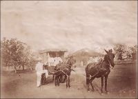Kita, voiture du 2ème régiment de tirailleurs sénégalais. – Ce régiment est fondé en 1892, en tant que régiment de tirailleurs soudanais. Il prend le nom de 2ème régiment de tirailleurs sénégalais en 1900, devient un temps 2ème régiment mobile de tirailleurs sénégalais, puis 2ème régiment de tirailleurs sénégalais du Soudan en 1940, avant d’être dissout en 1946. – L’attelage de deux mulets en tandem semble être assez caractéristique des troupes coloniales d’Afrique.