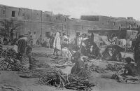 Tombouctou, le marché au bois. – En 1948, le cercle de Tombouctou, qui s’étend sur 282 400 km2, compte 86 111 habitants dont 25 159 sédentaires. Le cheptel est de 11 000 chameaux, 1200 chevaux, 18 000 ânes, 250 000  bœufs et 834 000 moutons et chèvres. L’élevage bovin est largement destiné au marché de la Côte d’Ivoire, vers lequel il est acheminé sur pied. Hormis le bétail, la production est limitée à 400 t. de gomme, 100 000 barres de sel de Taoudéni.