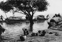 Sur les bords du Niger - Mission de Bamako