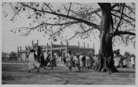 Bamako, le marché à la viande – Dans un rapport sur « La femme et la famille à Bamako » de Mme Savineau, conseillère technique de l’Enseignement, paru en 1937, on apprend que la viande « avec os et boyau » coûtait 0,90 francs au 1er Janvier  1936, et 2,80 francs au 1er Octobre 1937.