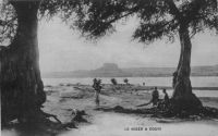 Le Niger à Gouni