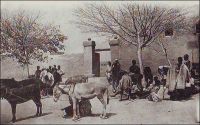 Djenné, indigènes apportant l'impôt – « Il y a vraiment dans notre civilisation coloniale africaine une harmonieuse entente entre deux races, que je n’ai jamais rencontrée ailleurs. Certes, les indigènes sont astreints à l’impôt. mais qu’est-ce en regard des contributions forcées des anciens tyrans, des razzias, des massacres collectifs, des exécutions en masse de jadis ? » (1). - La ville de Djenné, dans le cercle de Mopti, compte en 1948 une population de 1 Européen et 5450 Africains (2). – La carte postale est éditée par « H. Danel à Kayes ». Sources : (1) Morand, Paul, AOF De Paris à Tombouctou, Paris, éditions Flammarion, 1928.  (2) Guid’AOF, Dakar, Agence Havas AOF, 1948.