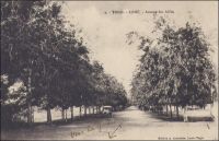 Lomé, Avenue des Alliés. - Il s'agit de la voie connue depuis plusieurs décennies sous le nom de « rue du 24 janvier », en référence à un accident d'avion survenu à cette date en 1974 dans la localité de Sarakawa, à proximité du village natal du président Eyadéma, et qui faillit coûter la vie au dirigeant togolais. La catastrophe, pourtant banale d'un point de vue aéronautique – leDC3 présidentiel avait subi un décrochage latéral tandis qu'il manœuvrait à basse altitude pour trouver la piste d'atterrissage dans une faible visibilité liée à l'harmattan -, fut érigée en « odieux attentat » par la propagande du régime. Selon cette mythologie politique développée alors, il s'agissait là d'un « acte ignoble de l'impérialisme organisé par la haute finance internationale » et visant à liquider le chef de l'État pour  s'emparer des ressources naturelles du pays - un gisement de phosphates en l'occurrence. Les bénéfices de cette mystification furent multiples : elle permit de mettre légitimement la main sur l'entreprise minière convoitée depuis un certain temps - elle fut promptement nationalisée -, mais surtout elle conféra au président un statut symbolique de sur-homme quasi immortel et de leader nationaliste visé par les puissances néfastes de la finance internationale (1). La rue des Alliés, ou avenue des Alliés selon les époques et les sources, croise les voies ferrées au niveau de la gare et la rue de la Libération au niveau où fut créée en 1934 la Place des fêtes de Lomé avec son kiosque à musique (2). Le 25 janvier 1993, ce lieu, devenu   « Fréau-jardin » ou Place de la Libération, devait être le théâtre de la sanglante répression d'une manifestation de l'opposite par les militaires fidèles au Général Eyadéma. Les victimes furent nombreuses et la répression aveugle des jours suivants provoqua l'exil de plusieurs centaines de milliers de Togolais dans les pays limitrophes.  Le secrétaire d'Etat française à la coopération et le ministre allemand des Affaires étrangères, tous deux présents dans la capitale togolaise ce jour-là, ne virent rien et ne condamnèrent rien... - En plus de l'indication de la direction de la gare au recto,  figure au dos de la carte postale cette mention manuscrite : « La FAO (comptoir) est à gauche de la route, la  2è auto doit y être devant ». Sources : (1) Toulabor, Comi, Le Togo sous Eyadéma, Paris, éditions Karthala, 1988. (2) Soulilou, J. (éditeur scientifique), Rives coloniale, Paris, éditions Parenthèses et éditions de l’Orstom, 1993.