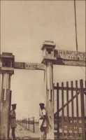 Cotonou, l’entrée du wharf. – La construction du wharf de Cotonou débute en 1891. L’édifice, appelé à soutenir la vocation portuaire de la ville et à faciliter le débarquement des troupes alors que la guerre se profile, est finalement ouvert au trafic commercial le 7 mai 1893. A compter de 1899, il permet aux navires d’accoster à Cotonou, au rythme d’un par mois. L’emplacement du wharf va structurer le développement urbain de la ville : les quartiers vont s’étendre autour de lui et le long de la plage sur la rive ouest de la lagune.