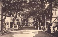 Porto-Novo, l’avenue Doumergue. – L’artère commerciale, située dans le quartier du marché, est le cadre historique des activités de négoce des familles libanaises. Celles-ci, arrivées à Porto-Novo vers 1885, venaient renforcer une communauté de commerçants alors essentiellement composée d’Afro-brésiliens et de portugais. Les nouveaux venus étaient des opérateurs relativement modestes, ne disposant pas de grandes concessions ni d’appontement sur la lagune. Ils bâtirent des constructions simples, en briques, où coexistaient boutique, entrepôt et logement. L’implantation de grandes firmes commerciales françaises, anglaises et allemandes, dont ils devinrent des distributeurs ou des sous-traitants, devait restreindre encore leur emprise économique sur la ville.