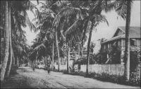 Cotonou, avenue des Cocotiers, Bibliothèque et P.T.T. - – « Très bien, Cotonou. De larges avenues plantées de cocotiers et pavées de coquilles d’huîtres. Voirie rudimentaire, assurée par des poulets étiques et de petits cochons noirs. Les dames de l’endroit n’ont pas froid aux yeux et se poudrent la figure. Les petites filles aussi. Cotonou sent la poudre de riz. » Source : Martet, Jean, Les bâtisseurs de royaumes, Paris, Albin Michel, 1934.