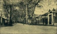 Porto Novo, l’avenue Gabriel. – Dès 1893, les autorités se penchent sur le choix du site idéal pour placer la capitale du Dahomey. Trois villes, Ouidah, Porto Novo et la modeste agglomération de Cotonou, sont en lisse. La première, quoique abritant l’état major du corps expéditionnaire chargé de la pacification du pays après la chute du roi Béhanzin, fut rapidement écartée. Porto Novo, pourtant tenue pour insalubre, fut finalement retenue. Mais progressivement Cotonou, plus centrale, rivalisa avec Porto Novo. La mise en service du chemin de fer reliant les deux villes, opérationnel en 1929, puis du pont de Cotonou en 1930, et enfin du pont de Porto Novo en 1938, scella le déclin progressif de la capitale. Le transfert des activités économiques puis des fonctions politiques vers Cotonou était amorcé; il ne s’interrompra plus.