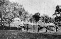 En hamac dans le Dahomey, en 1900 (le général Gouraud). – Avant la construction du chemin de fer au Dahomey en1904,  le voyageur se déplaçait en combinant la navigation fluviale et le portage en hamac. Ainsi, le général Gouraud, qui devait fonder peu après la ville de Niamey, passa par le Dahomey pour se rendre à Zinder. Débarquant du navire Le Tibet au wharf de « Kotonou » le 27 octobre 1900, il quitte la côte le 4 novembre, traversant le Bas-Dahomey en remontant l’Ouémé à bord de l’Onyx, « une petite canonnière à aubes ». Le terminus de la navigation, Sagon, est atteint en journée. Là, des « hamacaires » attendent les voyageurs sur la grève pour les emporter, eux et leur nombreux bagages, jusqu’à Zagnamado, ancienne résidence de campagne de Béhanzin, puis jusqu’à Parakou où ils intègrent un convoi comptant 27 Européens et 500 porteurs. - « Le soleil tape dur ; mas on nous a donné un hamac pour nos courses, hamac supporté par un long et fort bâton et porté sur la têt par deux hommes vigoureux, mode de transport en usage dans tout le Dahomey où les chevaux ne vivent pas. […] Le hamac est un mode de transport pratique pour les courses en ville, il l’est beaucoup moins pour les longues étapes. Le voyageur est placé très bas, giflé par les hautes herbes, il ne voit rien, et quand il y a un piquet au milieu de la route, il le reçoit dans les reins ». Source : Gouraud, Gal, Zinder Tchad, Paris, Plon, 1944.