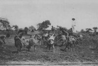 Dahomey, équipe travaillant sur la voie de chemin de fer, vers 1912 – En 1948, le chemin de fer Bénin-Niger compte 68 gares le long de ses 685 km de voies, dont 579 de voie métrique et 106 de voie de 0 m 60. Le fret transporté atteint, en 1946, 90 485 t et 810 483 passagers ont emprunté les lignes qui vont de Cotonou à Parakou, de Cotonou à Pobe par Porto-Novo et de Cotonou à Segboroué vers Athiémé. 
